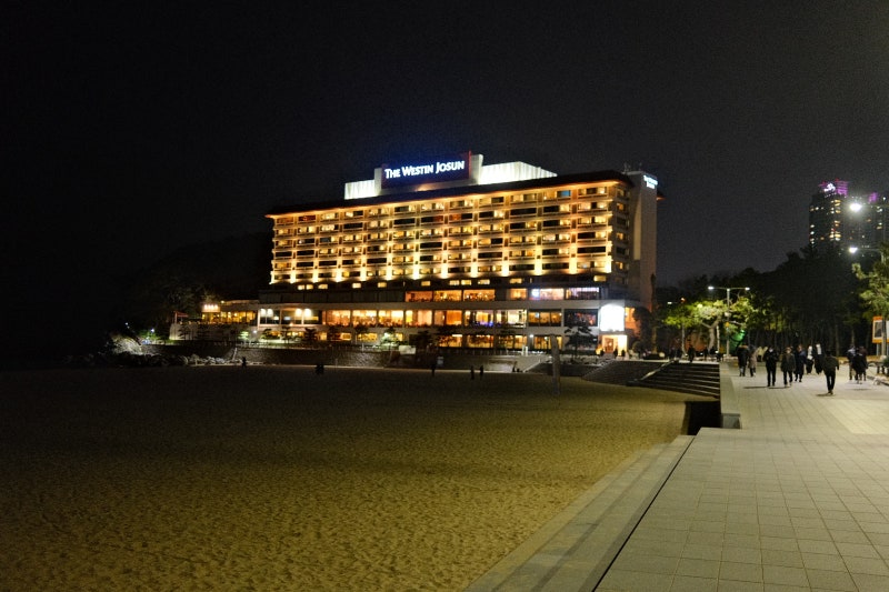 2021 부산] 03. 웨스틴 조선 부산 & 해운대 블루라인파크 & 삼삼횟집 포장 & 동백섬 아침 산책 - 해운대 숙소 반나절 여행 :  네이버 블로그