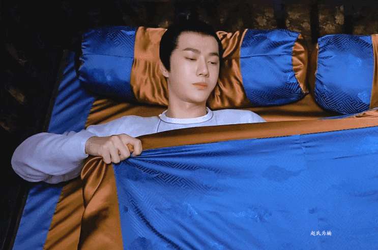  왕이보 중드<풍기낙양16화 风起洛阳 ep16 整理完毕>백리야!! 넌 가만있어봐!!! 저기요!!七娘同学!!!不要抢我的百里的被子!!!感冒了怎么办!!
