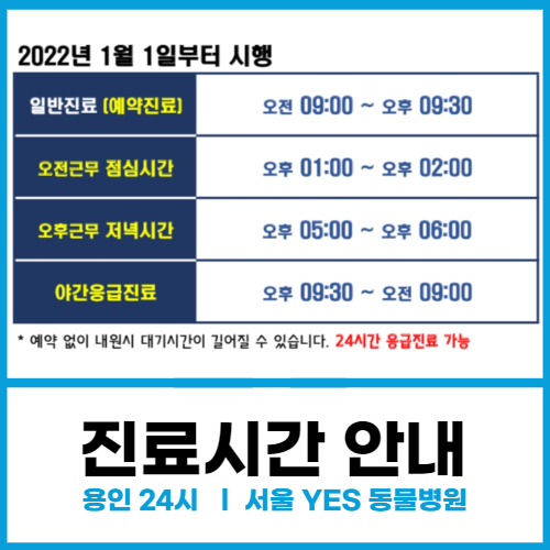  서울 예스 YES 동물병원 진료 시간 안내