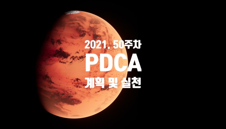  2021년 계획과 실천 50주차 점검 [꾸준함]
