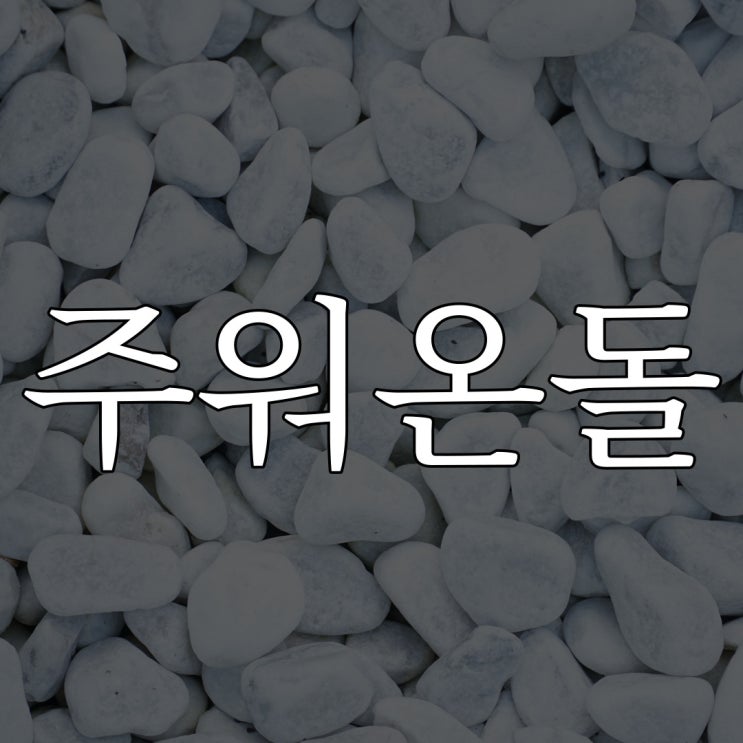  2ch 주워온 돌 / 레전드 공포 이야기
