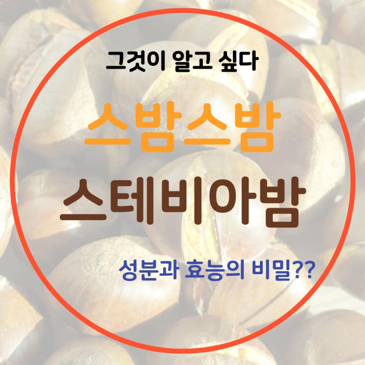  그것이 알고 싶다 스밤스밤 스테비아밤 성분과 효능의 비밀?