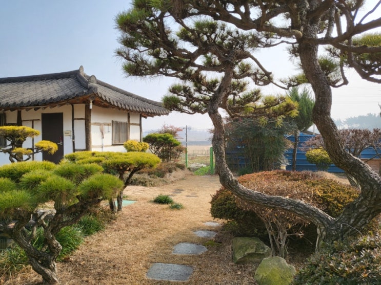 100년된 한옥집과 정원이 멋있는 익산 곰탕,도가니탕 - "정원곰탕"