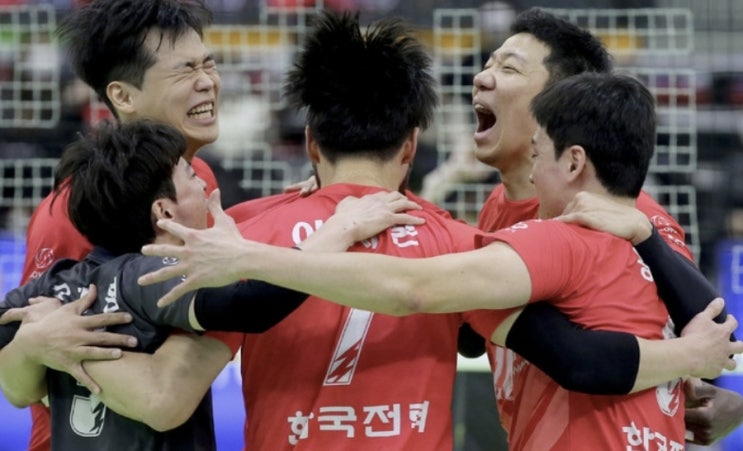KOVO 프로배구 국내 남자배구 우리카드 한국전력 여자배구 흥국생명 KGC KOVO 프로배구 국내 남자배구 우리카드 한국전력 여자배구 흥국생명 KGC