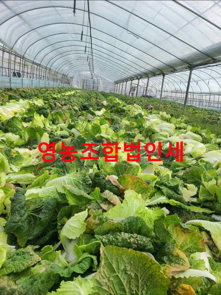 영농조합법인세_감면(농업경영체 미등록)을 받으려면? 영농조합법인세_감면(농업경영체 미등록)을 받으려면?