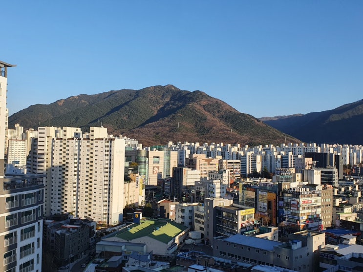  대구 앞산 정상까지 출발 지점부터 안일사 돌탑 왕굴로 이어지는 등산 여행