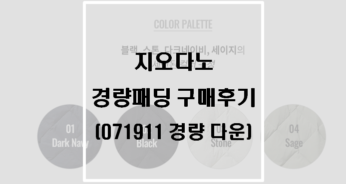  지오다노 긴팔 경량패딩 구매후기(071911 경량 다운 자켓)