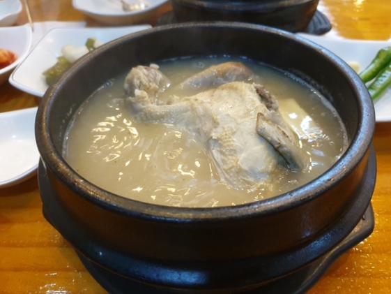  강동구 맛집 토속 한방삼계탕 삼계탕 효능 녹두 효능(길동 맛집 성내동 맛집 천호동 맛집)