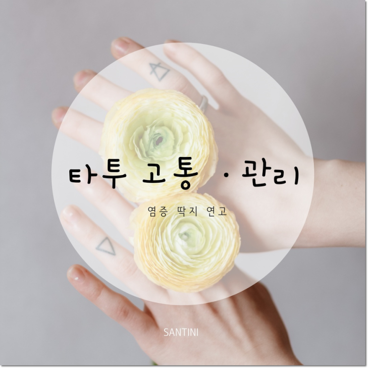 타투 후 관리 고통 아픈부위 연고 마취크림 염증 딱지 타투 후 관리 고통 아픈부위 연고 마취크림 염증 딱지