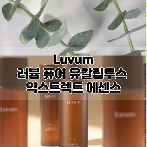  [Luvum] 러븀 유칼립투스 익스트렉트 에센스 :: 속보습을 위한 진정 워터에센스