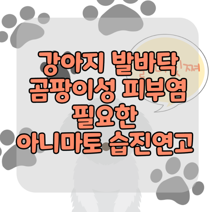  강아지 발사탕, 곰팡이성 피부염 필요한 발바닥 습진 연고