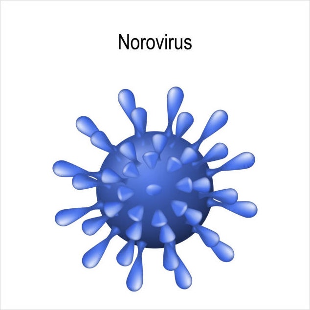 겨울철 지하수 세균 노로바이러스 식중독 피하는 법