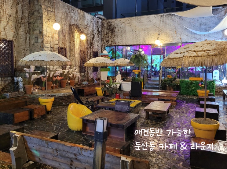  둔산동카페 애견동반 가능한 감성넘치는 피닉 카페 & 라운지
