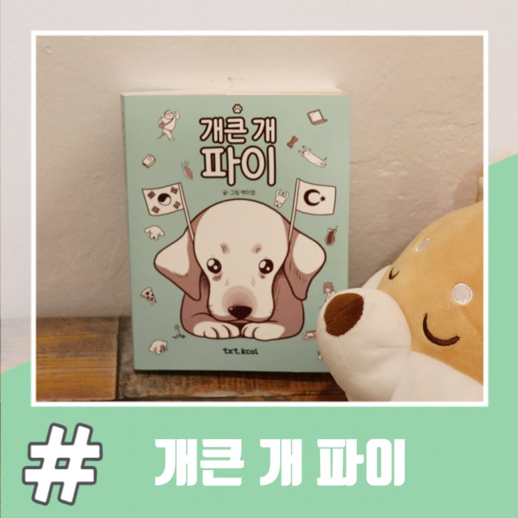  초보 집사의 대형견 인스타툰 개큰 개 파이