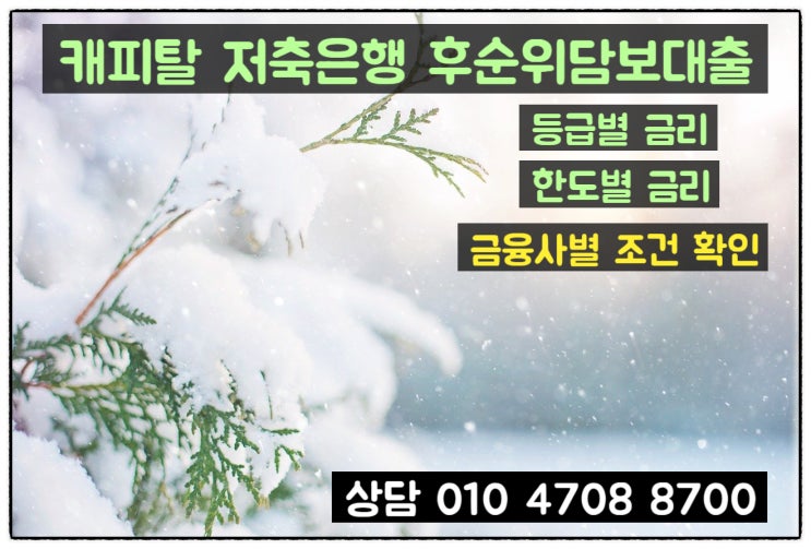 캐피탈 저축은행 후순위 아파트담보대출 금리와 조건 쉽게 알아보기