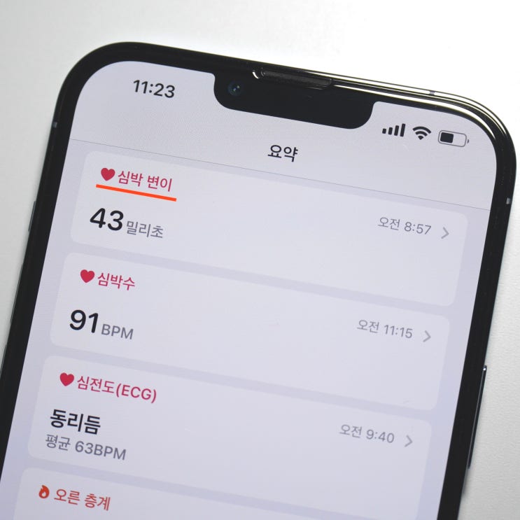  심박 변이를 애플워치에서? 볼 수 있다곰?