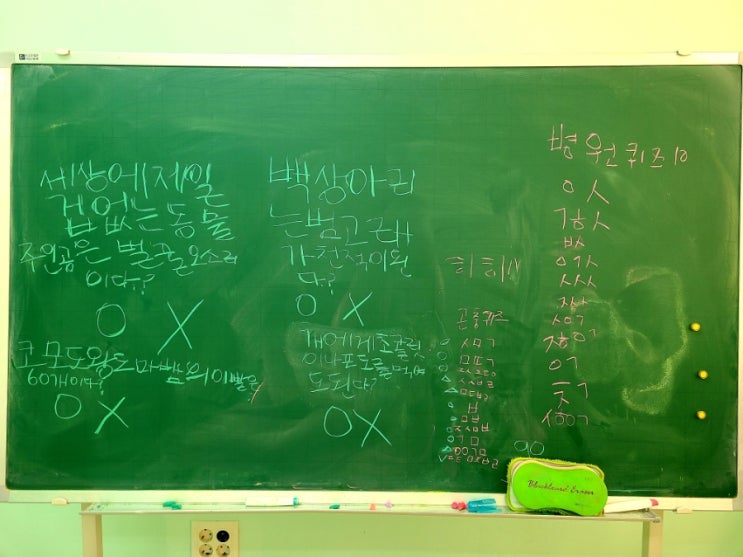  아이들이 창조해나가는 교실 경관