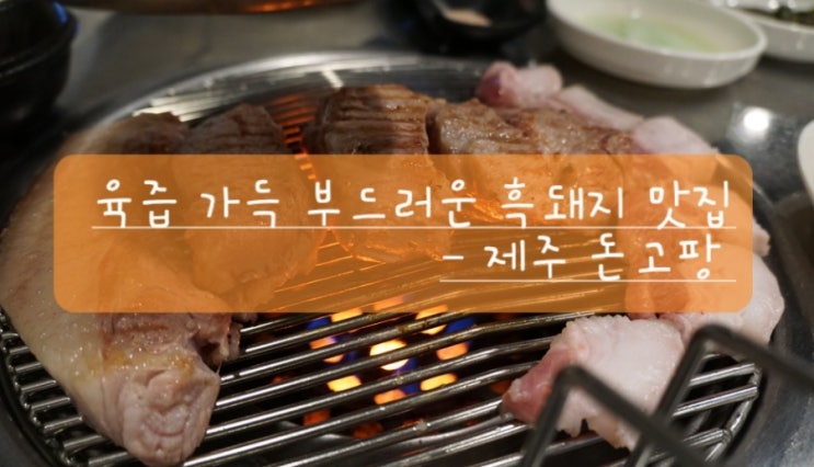 (제주애월맛집)목살이 이렇게 부드럽다고? 육즙 가득 구워주는 흑돼지 찐맛집 돈고팡