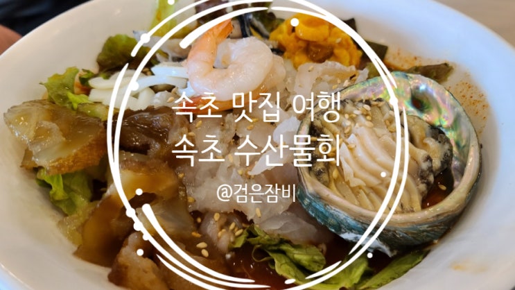  속초 수산물회에서 시작하는 속초 맛집 여행의 시작!!!(feat. 청초호 호수공원 /속초사잇길 7코스 청초호길 맛보기)