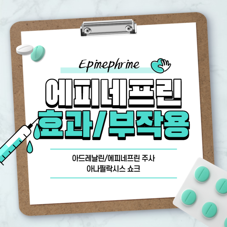  에피네프린 효과 및 부작용 【#아나필락시스 #아나필락시스 쇼크 #에피네프린 주사 #아드레날린 #에피네프린주】