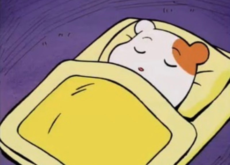 겨울+이불 Sleep 자는 잠 사진 짤 애니 모음집 1탄 😴💜 : 네이버 블로그