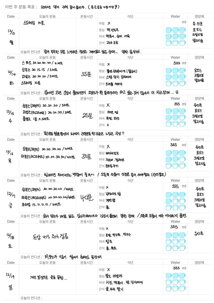  운동일지 4주차 (12월 셋째 주)