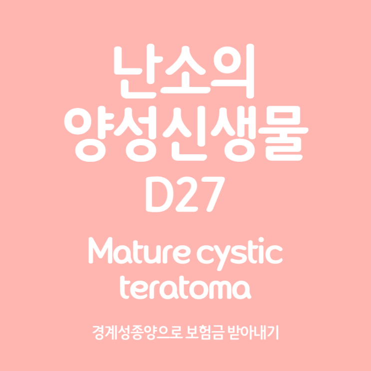  mature cystic teratoma (D27), 경계성종양 진단 가능할까?