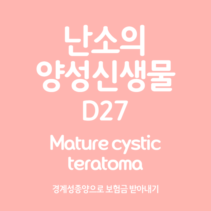 mature cystic teratoma (D27), 경계성종양 진단 가능할까?