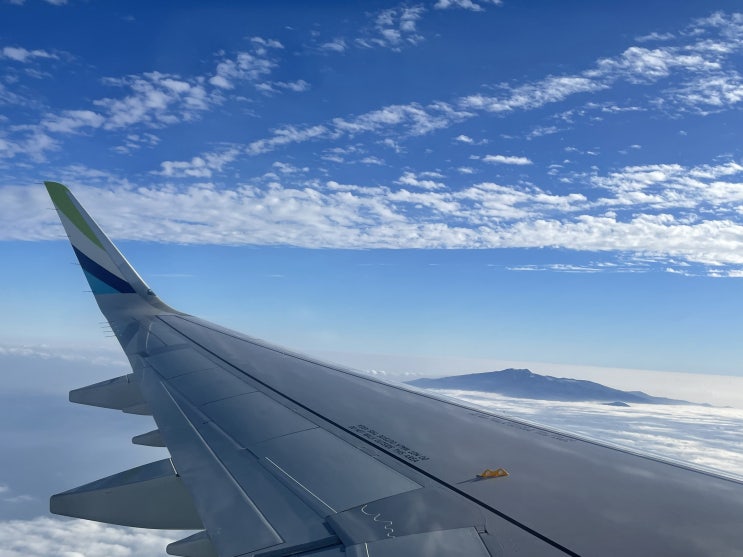  제주 뚜벅이여행 1일차1편(우진해장국,동문야시장)
