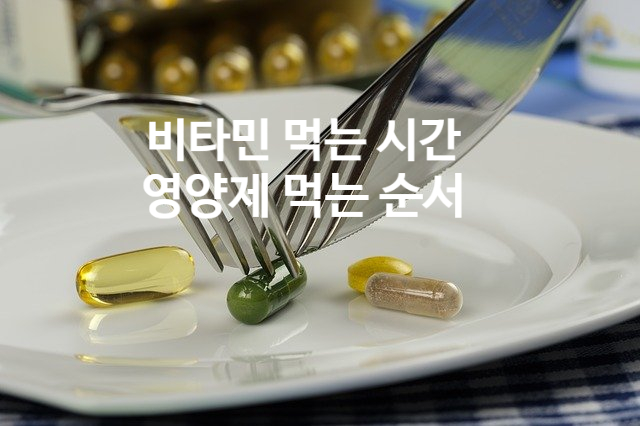  비타민 영양제 먹는 시간 순서 방법 (ft. 종합 멀티)