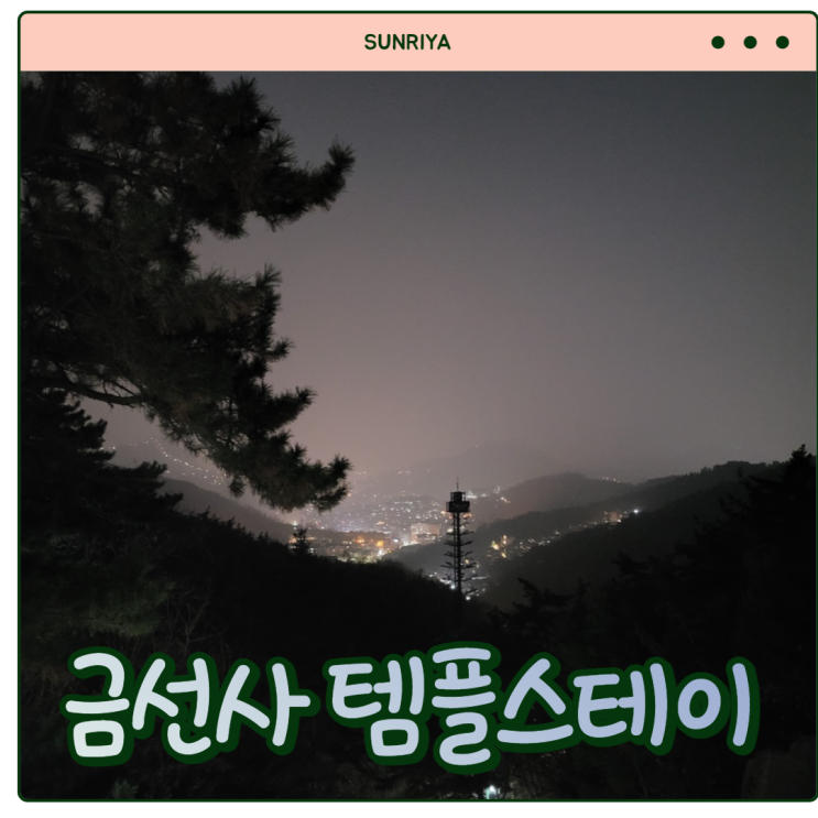  [금선사 템플스테이] 서울에서 템플스테이 체험하기, 야경이 예쁜 아름다운 '금선사 템플스테이' 후기