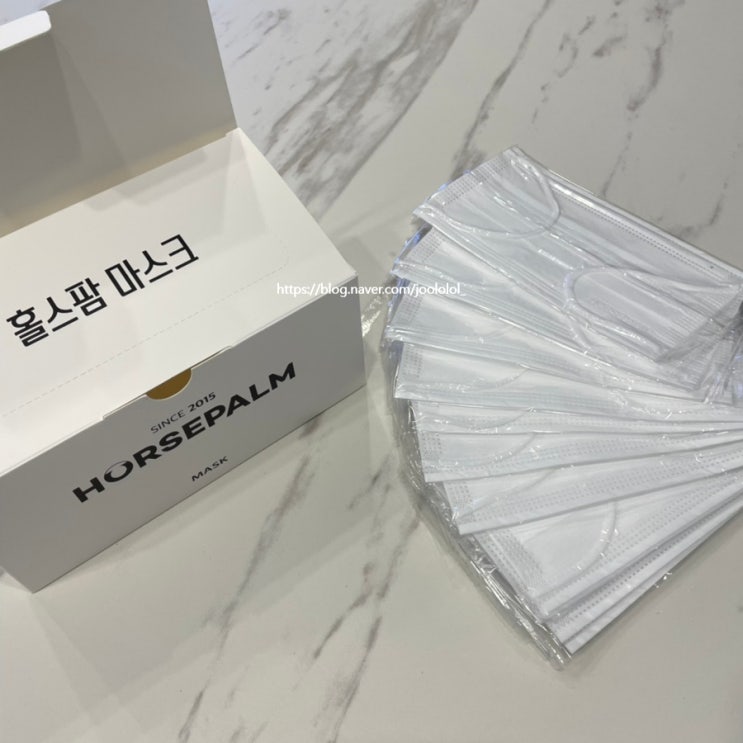  홀스팜 일회용 덴탈마스크 사용해봤어요