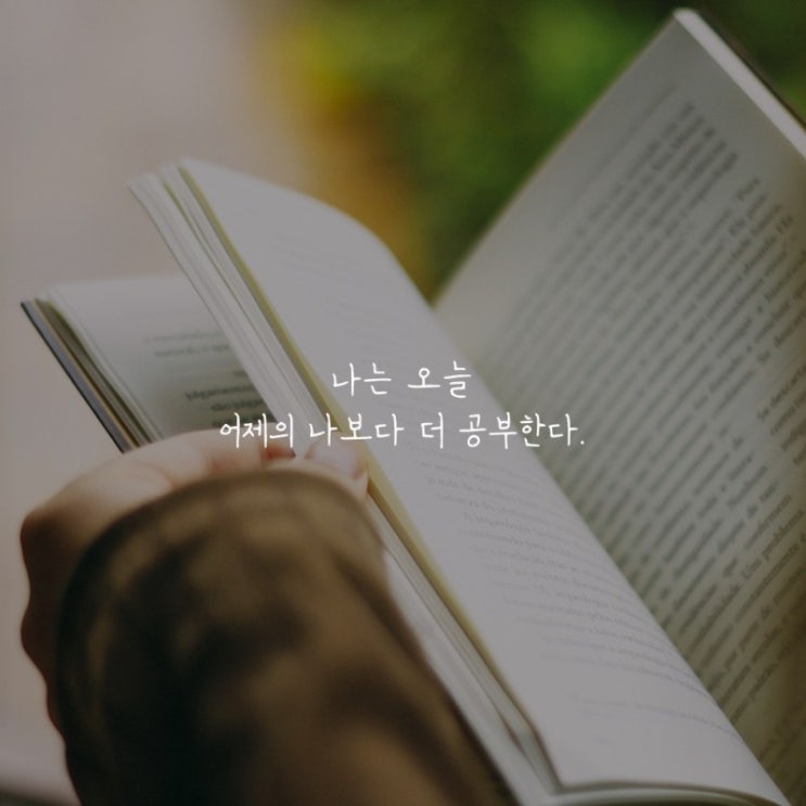  부거사이 [부동산 뉴스와 블로그] 12월 21일(화)
