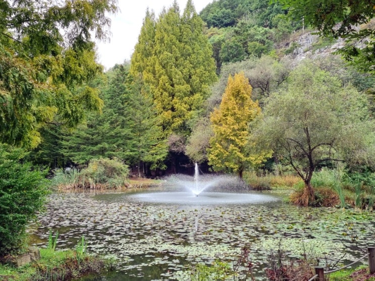  [안동여행] - 낙강물길공원(비밀의 숲), 만휴정