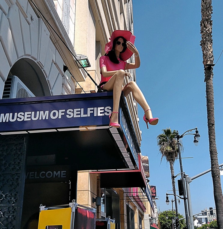  Los Angeles - 드디어 할리우드