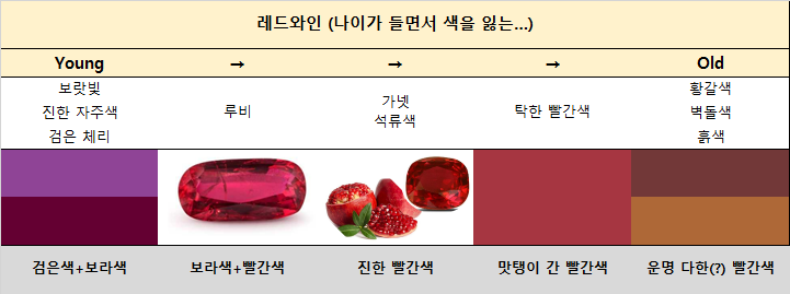  [와인 입문] 와인 색은 어떻게 표현하면 좋을까? 다양하게 표현해보고 싶어!