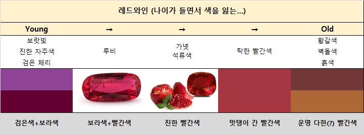 [와인 입문] 와인 색은 어떻게 표현하면 좋을까? 다양하게 표현해보고 싶어!