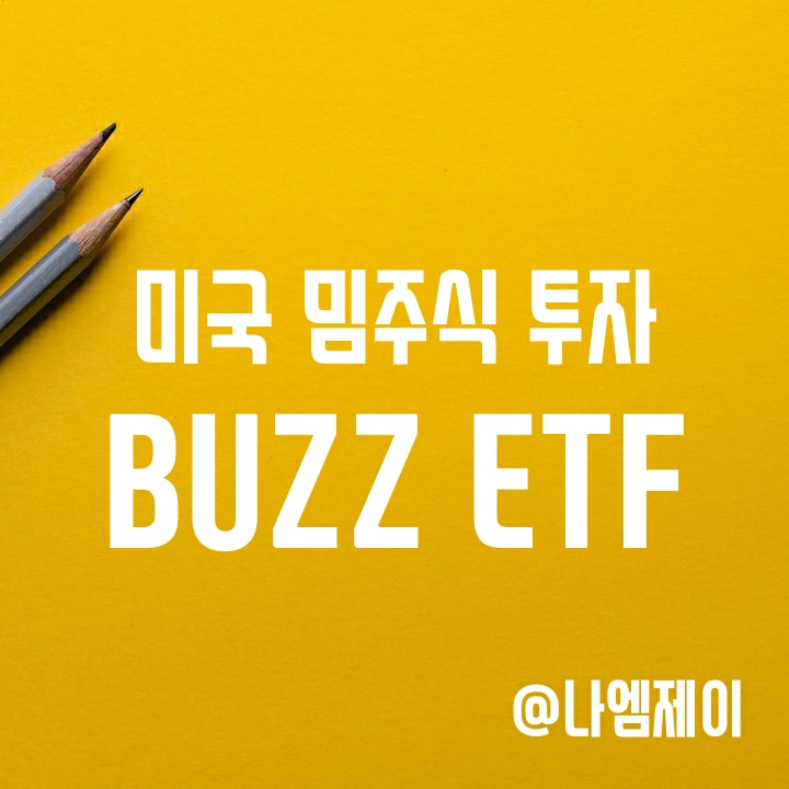 가장 핫한 주식에 투자하는 BUZZ ETF (미국 밈주식)