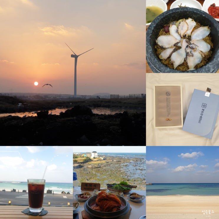  [제주여행] 제주도 4박 5일 여행 일정-Day 3(애월/월정/제주마음샌드/일몰스팟 추천)