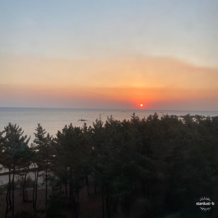  고성- 강원도 고성 바닷가 펜션(라헨느 풀빌라)에서 해돋이 보기