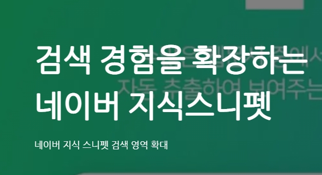  네이버 지식스니펫에 뽑힌 내 블로그 포스팅