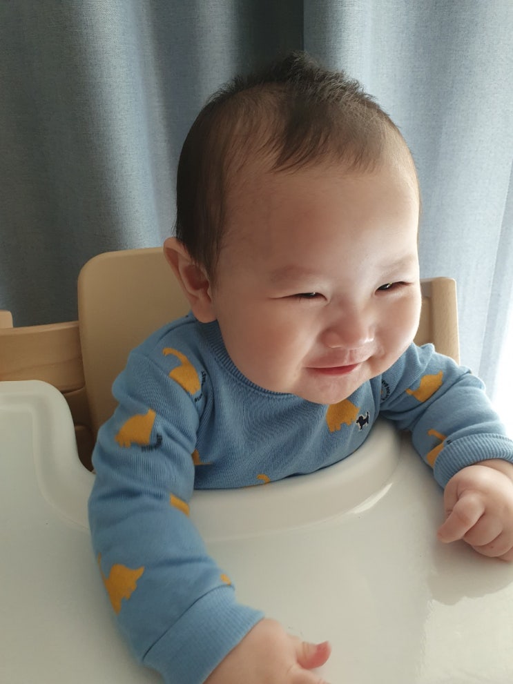  [성장기록3] 심쿵이 백일 지나서부터 이백일 무렵까지 (스압주의)