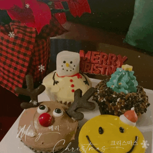  대구크리스마스케이크 맛집 베베케이크 ㅣ 선물같은 하루였길