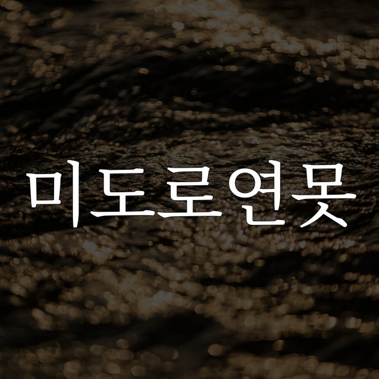  일본 3대 귀신 지역 - 미도로 연못 / 레전드 공포 이야기