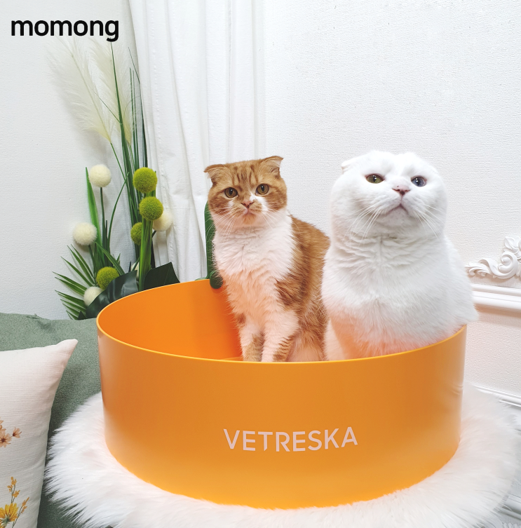  고양이 화장실 추천 귀여운 모래삽 세트 모몽의 원형 몽귤 귀엽다옹
