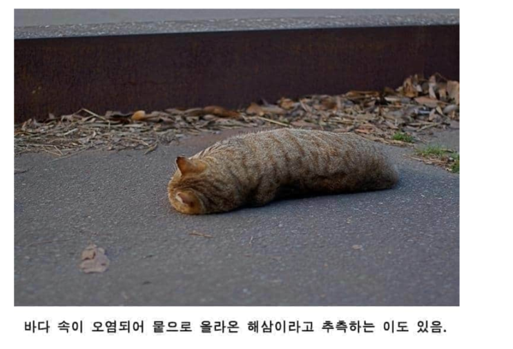  드디어 종강 + 89문 89답