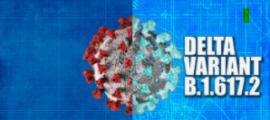 코로나 변이 바이러스 : 오미크론, 델타 및 변이 바이러스의 종류