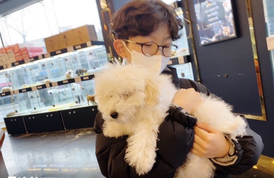  푸들 5개월 강아지 처음 키우기 큰일이다 .. 아들에게 또 낚인 썰