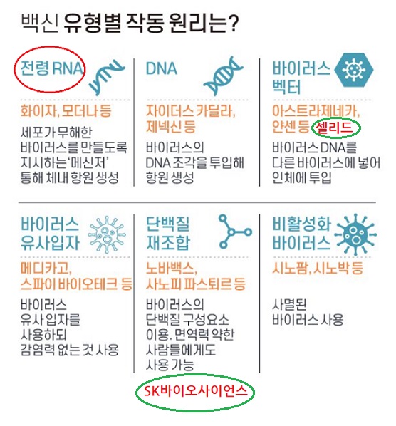화이자, 모더나만 오미크론에 효과, 3차 백신 맞아야 함 화이자, 모더나만 오미크론에 효과, 3차 백신 맞아야 함