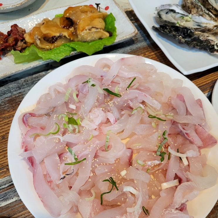  대전 세꼬시와 막회도 잘하는 월평동 횟집 새천년포항물회